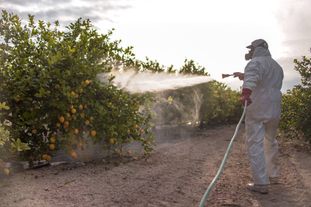 Spider Control Near Me in Gleed, WA